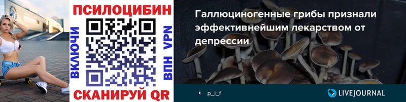 мориарти телеграм  цены   Богородск  Псилоцибиновые грибы Magic Shrooms 